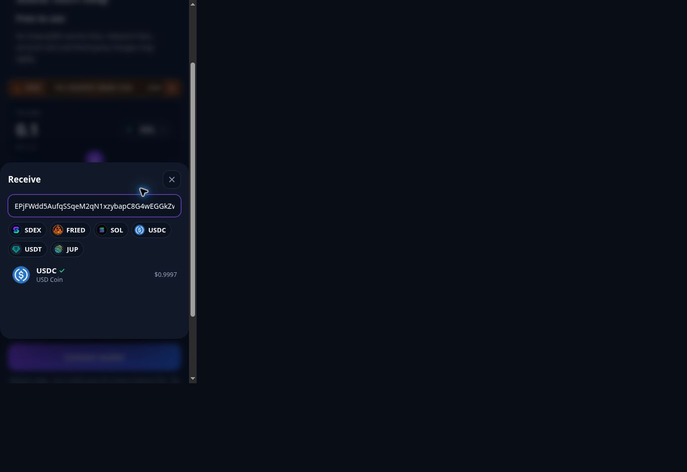 SolanaDEX Receive panel with a complete token mint entered in the search field and a matching USDC result.